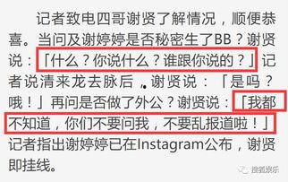 娱乐日报爆料新闻最新版,最新爆料揭秘明星幕后故事